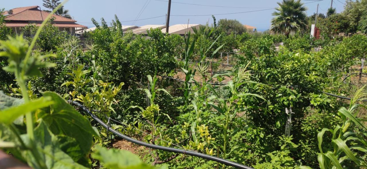 Rontaki Farm Kyparissia Exterior photo